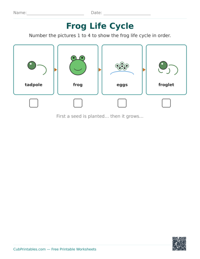 Frog Life Cycle Worksheets
