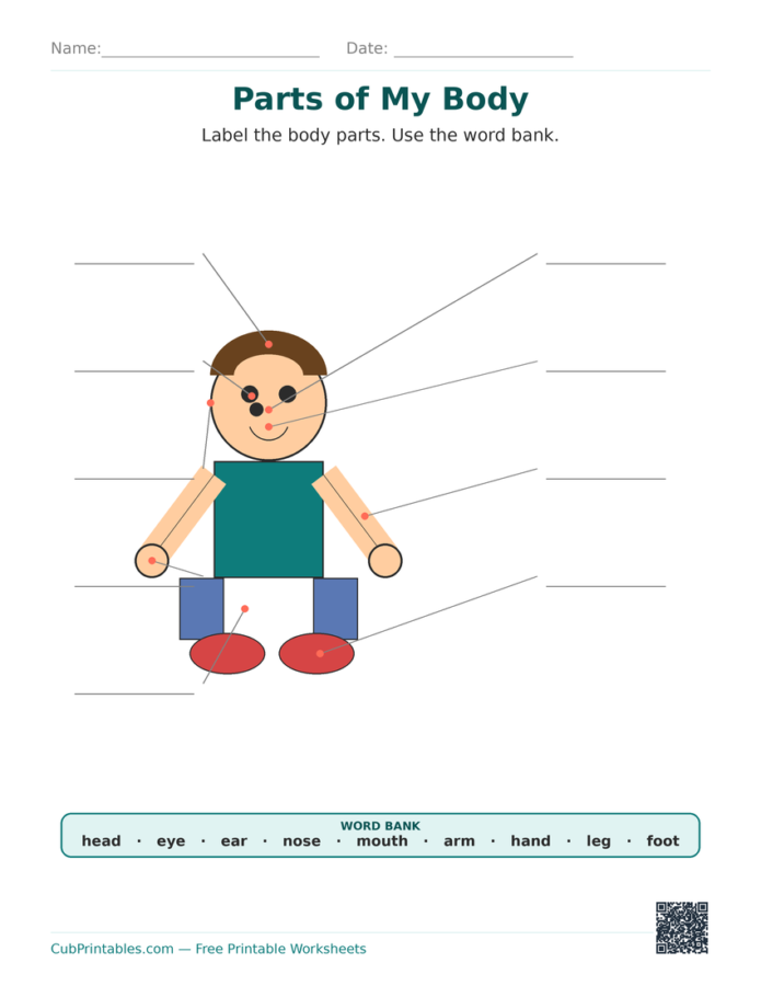 Human Body Parts Worksheets