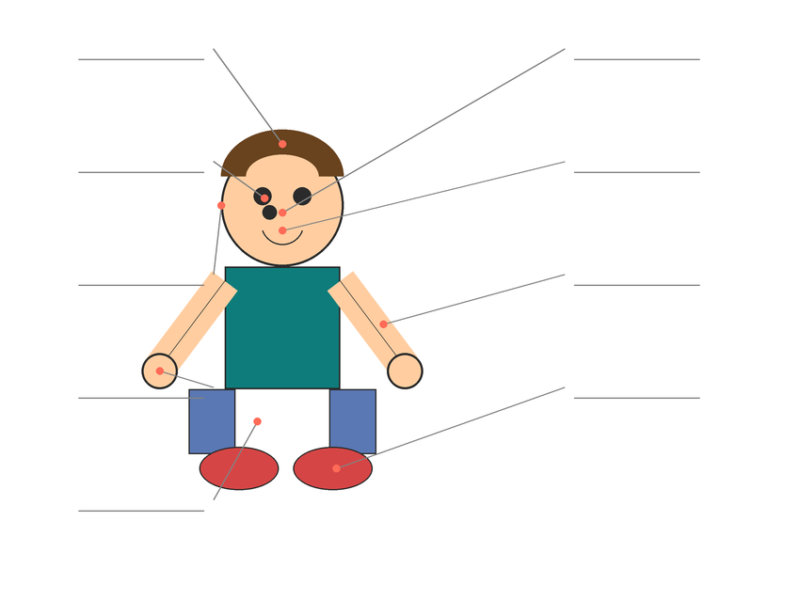 Human Body Parts Worksheets
